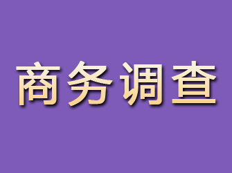 巴里坤商务调查